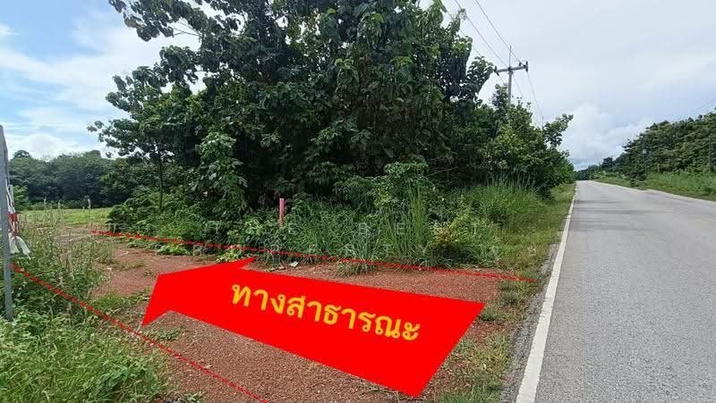 ที่ดินแกลง ระยอง, rayong, Chakphong, Klaeng, Rayong, , 7,000 sqm, Land For Sale, by The Best Property จุ้ย, 500595259 - DDproperty.com