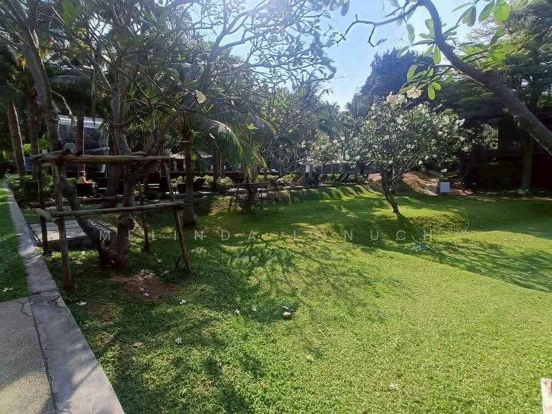 Wyndham Jomtien Pattaya : วินด์แฮม จอมเทียน พัทยา, ชลบุรี, หนองปรือ, บางละมุง, ชลบุรี, 32 ตร.ม., คอนโด ขาย, โดย Melinda Lonuch, 500595277 - DDproperty.com