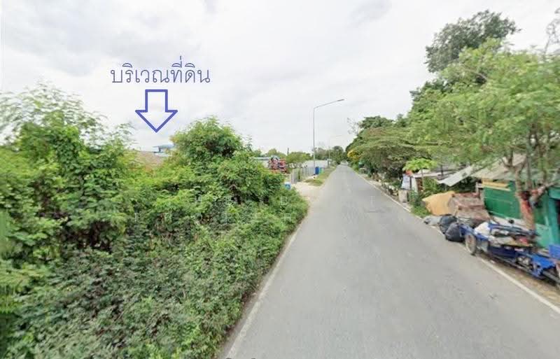 ที่ดินธัญบุรี ปทุมธานี, ปทุมธานี, ประชาธิปัตย์, ธัญบุรี, ปทุมธานี, 896 ตร.ม., ที่ดิน ขาย, โดย The Best Property พี, 500595333 - DDproperty.com