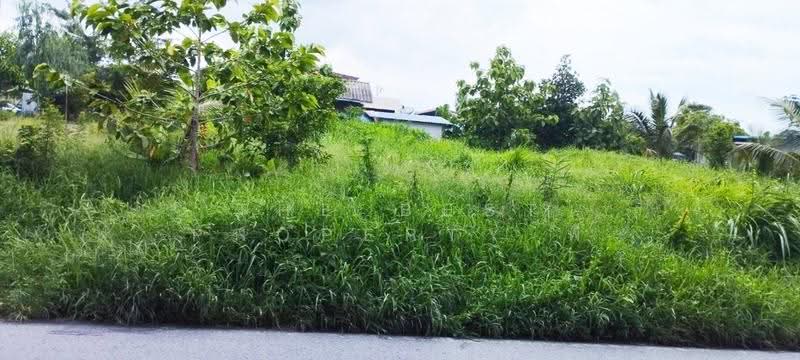 ที่ดินธัญบุรี ปทุมธานี, ปทุมธานี, ประชาธิปัตย์, ธัญบุรี, ปทุมธานี, 896 ตร.ม., ที่ดิน ขาย, โดย The Best Property พี, 500595333 - DDproperty.com