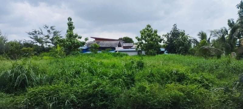 ที่ดินธัญบุรี ปทุมธานี, pathum-thani, Prachathipat, Thanyaburi, Pathum Thani, , 896 sqm, Land For Sale, by The Best Property พี, 500595333 - DDproperty.com