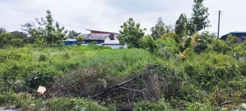 ที่ดินธัญบุรี ปทุมธานี, ปทุมธานี, ประชาธิปัตย์, ธัญบุรี, ปทุมธานี, 896 ตร.ม., ที่ดิน ขาย, โดย The Best Property พี, 500595333 - DDproperty.com