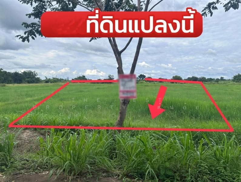 ที่ดินศิลา ขอนแก่น, ขอนแก่น, ศิลา, เมืองขอนแก่น, ขอนแก่น, 5,520 ตร.ม., ที่ดิน ขาย, โดย The Best Property ต้นอ้อ, 500595342 - DDproperty.com