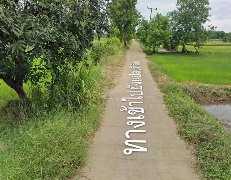 ที่ดินศิลา ขอนแก่น, ขอนแก่น, ศิลา, เมืองขอนแก่น, ขอนแก่น, 5,520 ตร.ม., ที่ดิน ขาย, โดย The Best Property ต้นอ้อ, 500595342 - DDproperty.com