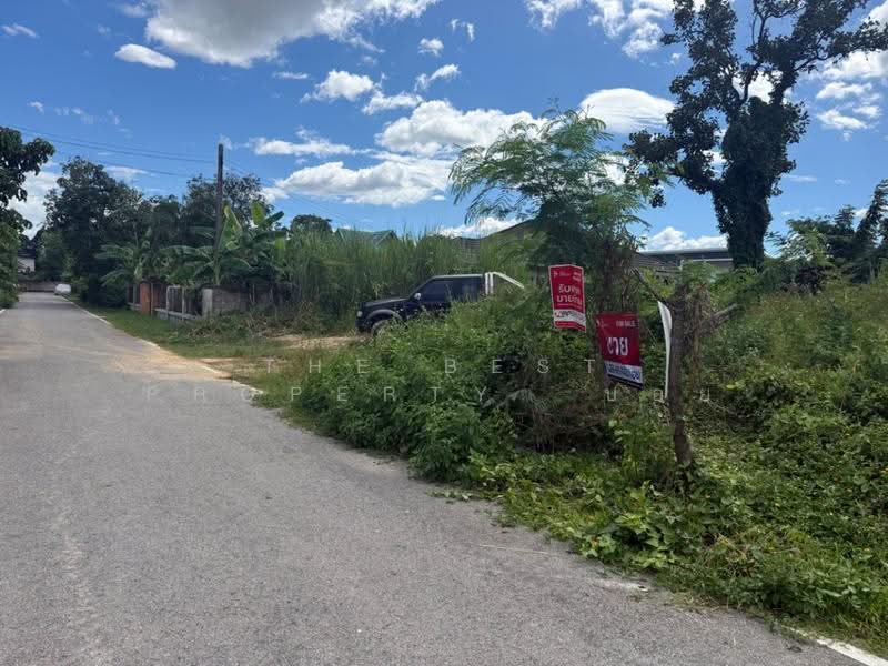 ที่ดินสันกำแพง เชียงใหม่, Chiang Mai, San Klang, San Kamphaeng, Chiang Mai, , 540 sqm, Land For Sale, by The Best Property บอย, 500595362 - DDproperty.com