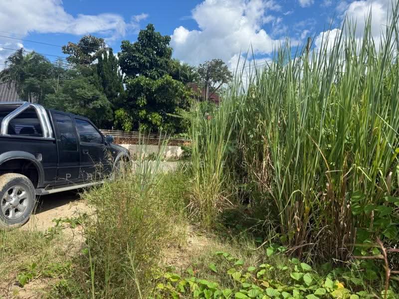 ที่ดินสันกำแพง เชียงใหม่, เชียงใหม่, สันกลาง, สันกำแพง, เชียงใหม่, 540 ตร.ม., ที่ดิน ขาย, โดย The Best Property บอย, 500595362 - DDproperty.com