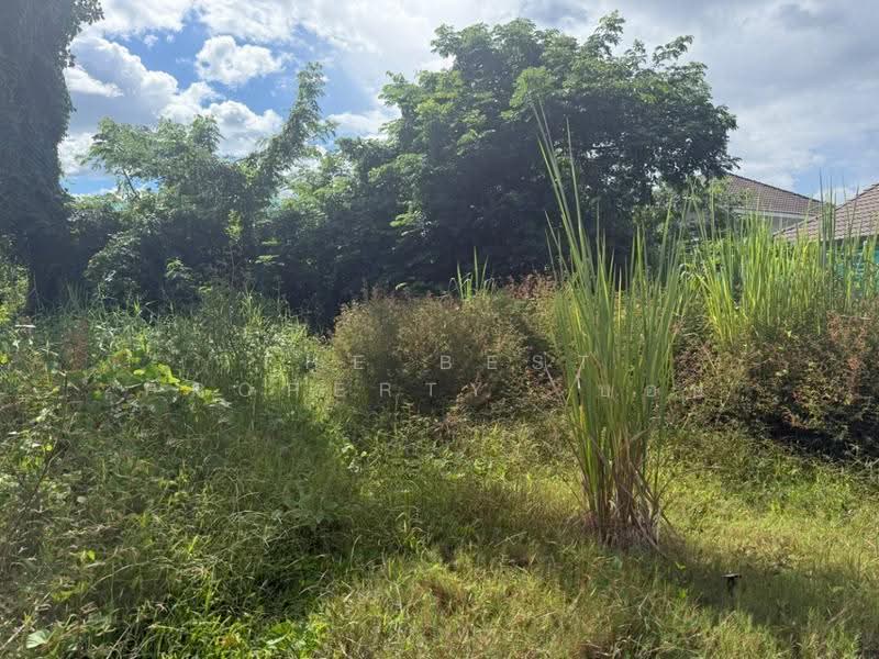 ที่ดินสันกำแพง เชียงใหม่, Chiang Mai, San Klang, San Kamphaeng, Chiang Mai, , 540 sqm, Land For Sale, by The Best Property บอย, 500595362 - DDproperty.com