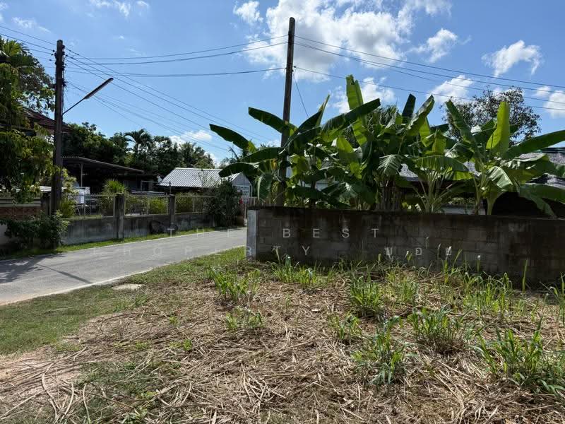 ที่ดินสันกำแพง เชียงใหม่, Chiang Mai, San Klang, San Kamphaeng, Chiang Mai, , 540 sqm, Land For Sale, by The Best Property บอย, 500595362 - DDproperty.com