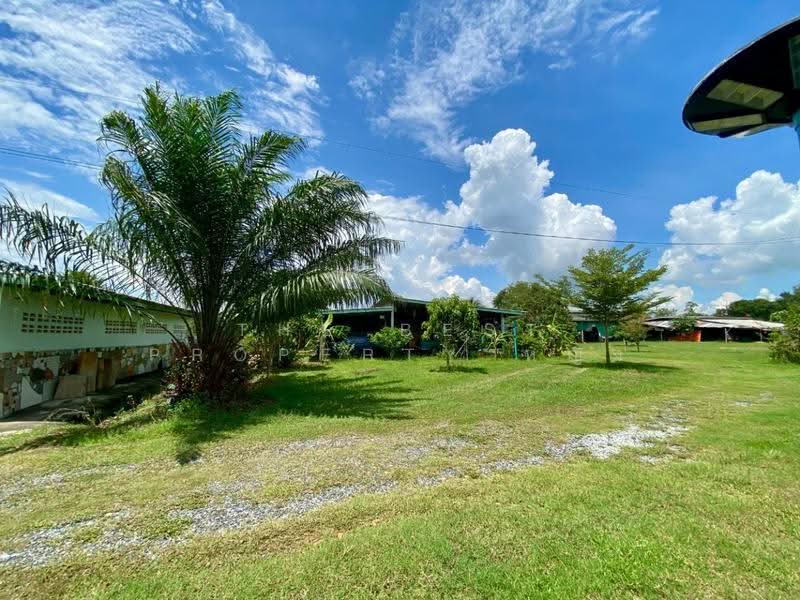 ที่ดินพนัสนิคม ชลบุรี, chon-buri, Sra Si Liam, Phanat Nikhom, Chon Buri (Pattaya), , 5,382 sqm, Land For Sale, by The Best Property หญิง, 500595412 - DDproperty.com