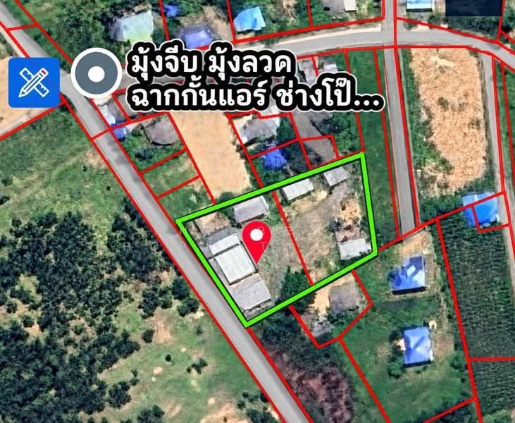 ที่ดินพนัสนิคม ชลบุรี, chon-buri, Sra Si Liam, Phanat Nikhom, Chon Buri (Pattaya), , 5,382 sqm, Land For Sale, by The Best Property หญิง, 500595412 - DDproperty.com