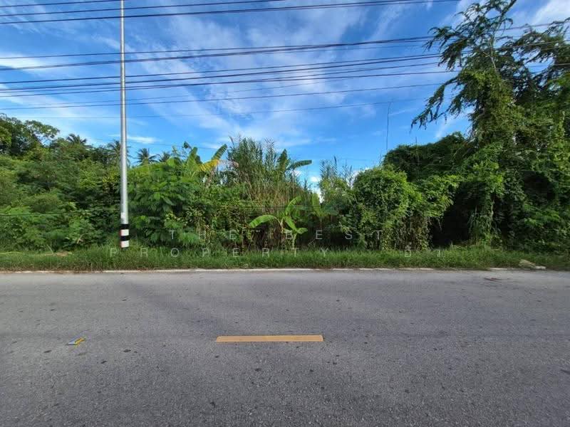 ที่ดินอัมพวา สมุทรสงคราม, Samut Songkhram, Bang Nang Li, Amphawa, Samut Songkhram, , 9,764 sqm, Land For Sale, by The Best Property  อิ๋ว, 500595701 - DDproperty.com