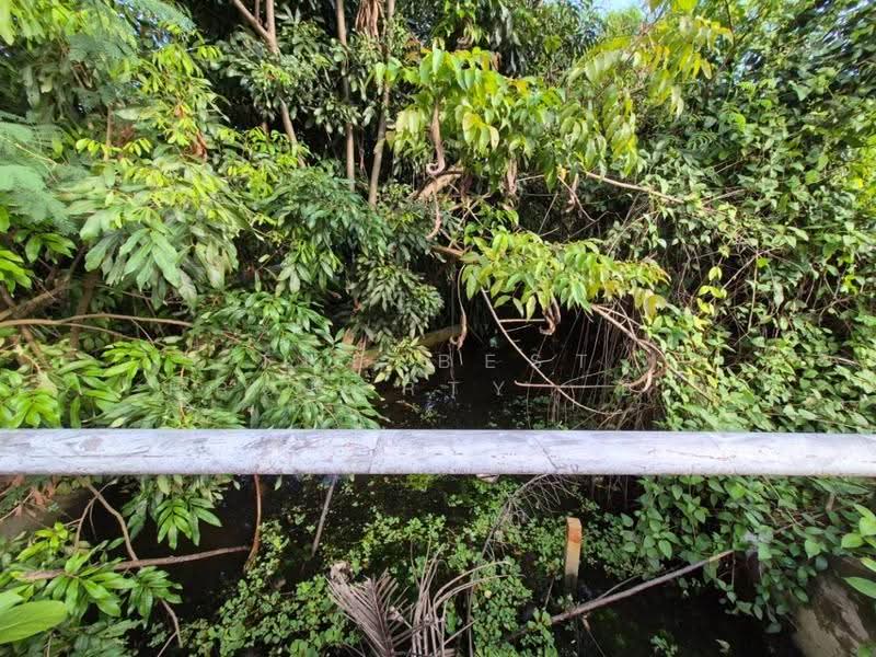 ที่ดินอัมพวา สมุทรสงคราม, Samut Songkhram, Bang Nang Li, Amphawa, Samut Songkhram, , 9,764 sqm, Land For Sale, by The Best Property  อิ๋ว, 500595701 - DDproperty.com