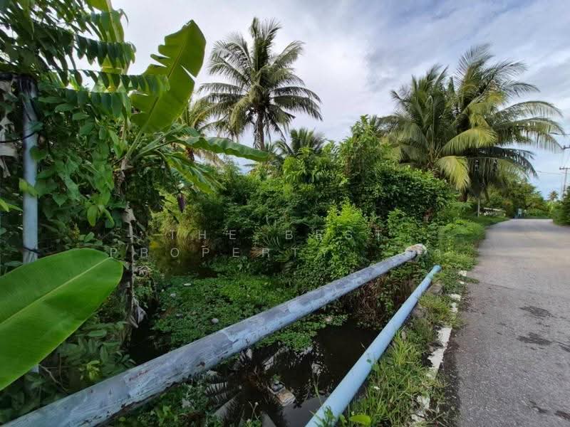 ที่ดินอัมพวา สมุทรสงคราม, Samut Songkhram, Bang Nang Li, Amphawa, Samut Songkhram, , 9,764 sqm, Land For Sale, by The Best Property  อิ๋ว, 500595701 - DDproperty.com