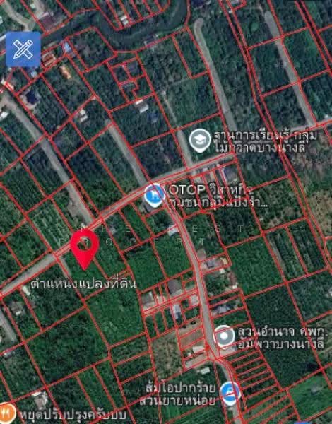 ที่ดินอัมพวา สมุทรสงคราม, Samut Songkhram, Bang Nang Li, Amphawa, Samut Songkhram, , 9,764 sqm, Land For Sale, by The Best Property  อิ๋ว, 500595701 - DDproperty.com