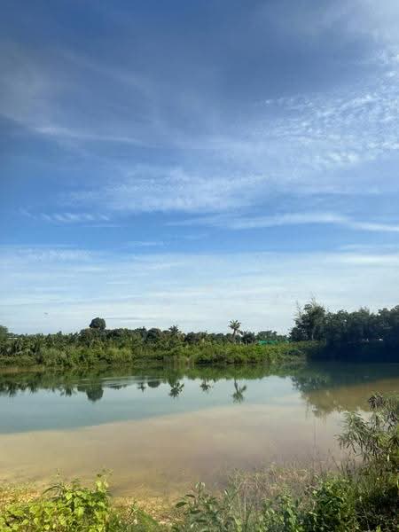 ขาย ที่ดินเปล่า 32 ไร่ 3 งาน 31 ตร.ว. ต.ท่าใหม่ อ.ท่าใหม่ จ.จันทบุรี, จันทบุรี, ท่าใหม่, จันทบุรี, 52,524 ตร.ม., ที่ดิน ขาย, โดย ญาตา รัตนะโชติ, 500595763 - DDproperty.com