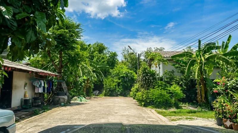 วัดเจษฎาราม, samut-sakhon, เจษฎาวิถี, Khok Kham, Muang Samut Sakhon, Samut Sakhon, , 1,104 sqm, Land For Sale, by จือ winner, 500595793 - DDproperty.com