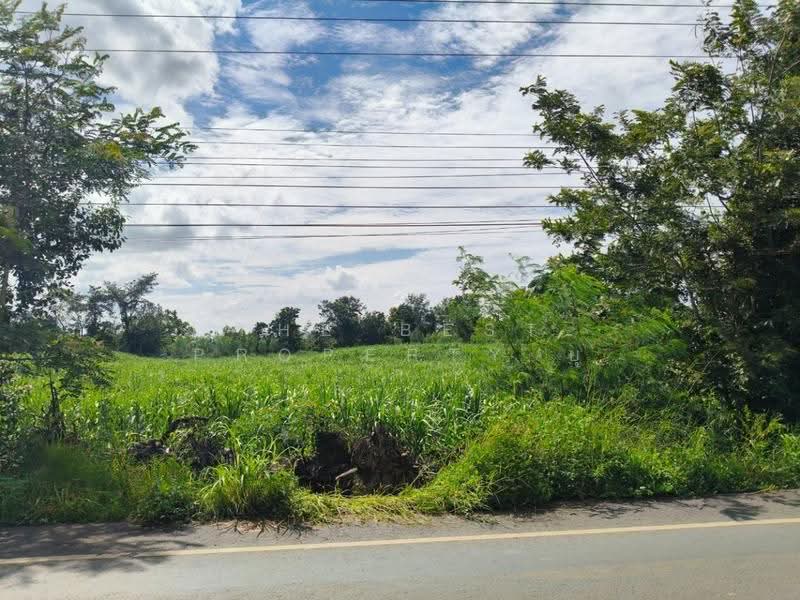 ที่ดินประโคนชัย บุรีรัมย์, buri-ram, Chorakhe Mak, Prakhon Chai, Buri Ram, , 53,452 sqm, Land For Sale, by The Best Property ยุ, 500595960 - DDproperty.com