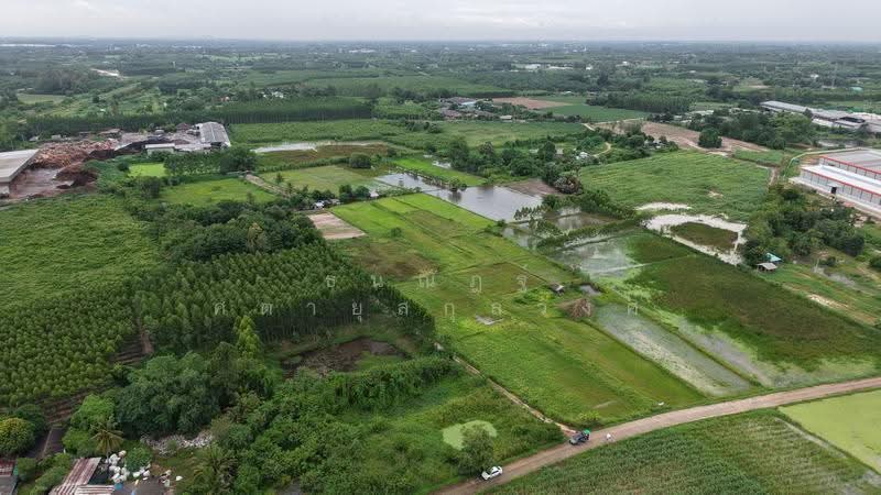 ที่ดินพนัสนิคม, chon-buri, Na Roek, Phanat Nikhom, Chon Buri (Pattaya), , 37,296 sqm, Land For Sale, by ธนณัฎฐ์ ศตายุสกุลวงศ์, 500595997 - DDproperty.com