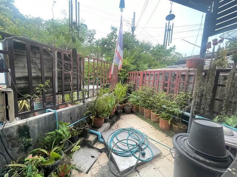 บ้านเเฝด 2 ชั้น 56 ตร.ว. เยื้องสำนักงานการเคหะแห่งชาติ ซอยนวมินทร์13, bangkok, ถนนนวมินทร์, Khlong Chan, Bang Kapi, Bangkok, 3 Bedrooms, 180 sqm, Semi-Detached House (Twin House) For Sale, by คุณ ศรินรัตน์ ศิรเกียรติสกุล (เป้ย), 500596018 - DDproperty.com