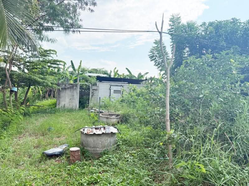 ที่ดินสันป่าตอง เชียงใหม่, chiang-mai, Yu Wa, San Pa Tong, Chiang Mai, , 32,471 sqm, Land For Sale, by The Best Property บอย, 500596070 - DDproperty.com