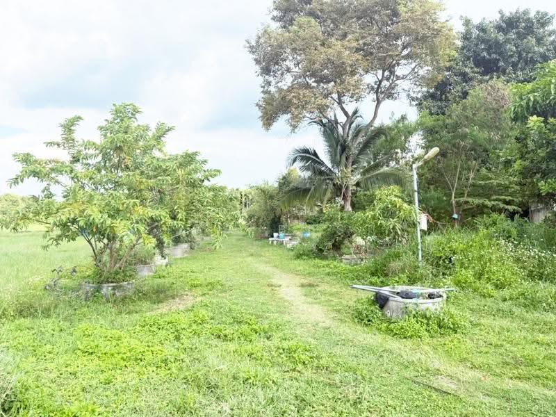 ที่ดินสันป่าตอง เชียงใหม่, chiang-mai, Yu Wa, San Pa Tong, Chiang Mai, , 32,471 sqm, Land For Sale, by The Best Property บอย, 500596070 - DDproperty.com