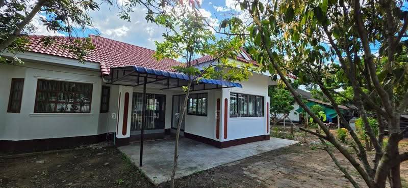 ขาย บ้านเดี่ยว โซนดอยหล่อ, chiang-mai, Doi Lo, Chiang Mai, 3 Bedrooms, 85 sqm, Single Detached House For Sale, by อามร ยืนยง, 500596099 - DDproperty.com