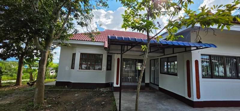 ขาย บ้านเดี่ยว โซนดอยหล่อ, chiang-mai, Doi Lo, Chiang Mai, 3 Bedrooms, 85 sqm, Single Detached House For Sale, by อามร ยืนยง, 500596099 - DDproperty.com
