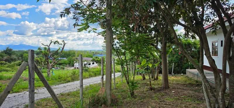 ขาย บ้านเดี่ยว โซนดอยหล่อ, chiang-mai, Doi Lo, Chiang Mai, 3 Bedrooms, 85 sqm, Single Detached House For Sale, by อามร ยืนยง, 500596099 - DDproperty.com