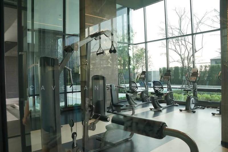 IDEO Sukhumvit 93, bangkok, 2331 Soi Sukhumvit 93, Bang Chak, Phra Khanong, Bangkok, 1 Bedroom, 35 sqm, Condo For Rent, by Caveman Property, 500596117 - DDproperty.com