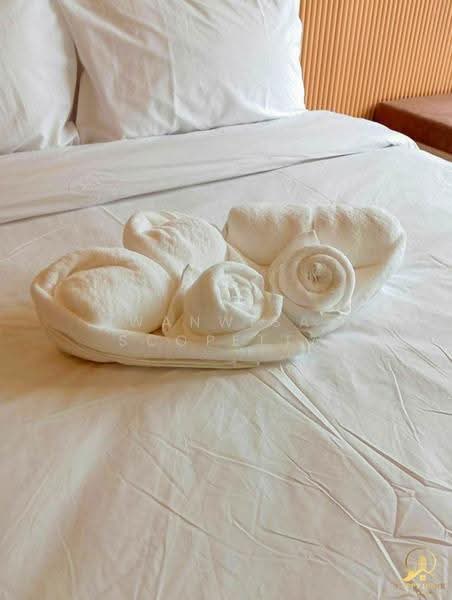 Cabanas Hua Hin : กาบานาส หัวหิน, ประจวบคีรีขันธ์, หนองแก, หัวหิน, ประจวบคีรีขันธ์, 50 ตร.ม., คอนโด ให้เช่า, โดย Wanwisa Scopetta, 500596189 - DDproperty.com