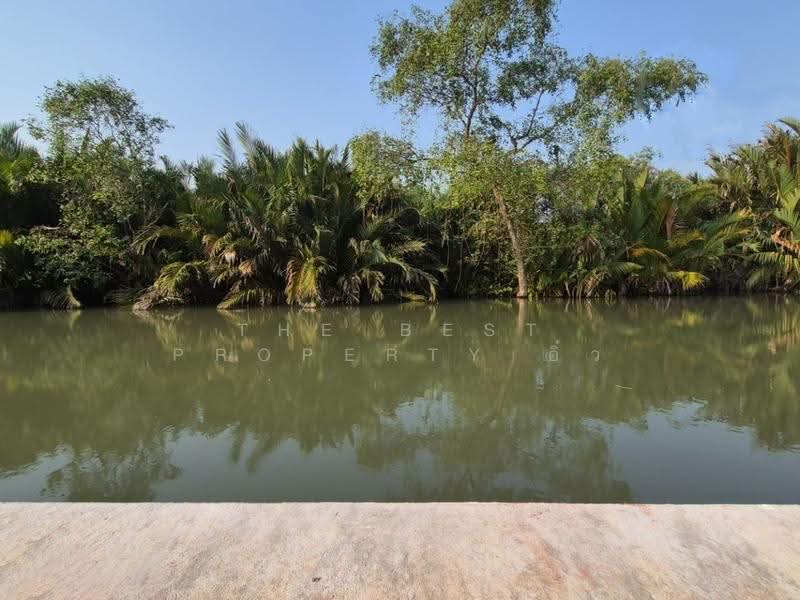 ที่ดินนางตะเคียน สมุทรสงคราม, samut-songkhram, Nang Ta Khian, Muang Samut Songkhram, Samut Songkhram, , 4,416 sqm, Land For Sale, by The Best Property อิ๋ว, 500596279 - DDproperty.com