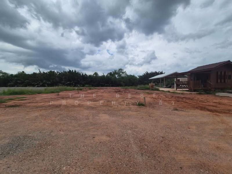 ที่ดินนางตะเคียน สมุทรสงคราม, samut-songkhram, Nang Ta Khian, Muang Samut Songkhram, Samut Songkhram, , 4,416 sqm, Land For Sale, by The Best Property อิ๋ว, 500596279 - DDproperty.com