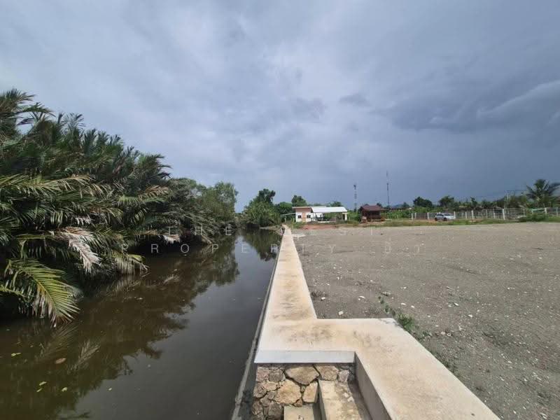 ที่ดินนางตะเคียน สมุทรสงคราม, samut-songkhram, Nang Ta Khian, Muang Samut Songkhram, Samut Songkhram, , 4,416 sqm, Land For Sale, by The Best Property อิ๋ว, 500596279 - DDproperty.com