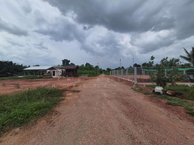 ที่ดินนางตะเคียน สมุทรสงคราม, samut-songkhram, Nang Ta Khian, Muang Samut Songkhram, Samut Songkhram, , 4,416 sqm, Land For Sale, by The Best Property อิ๋ว, 500596279 - DDproperty.com