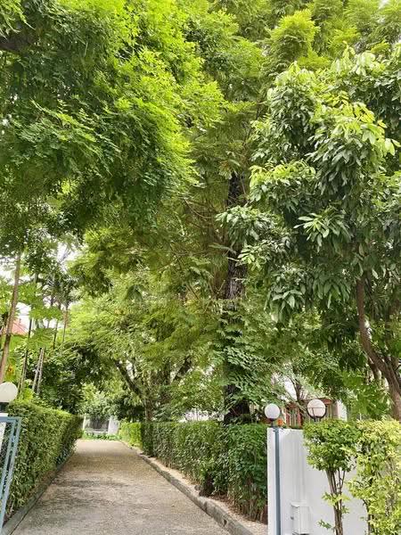 House for rent, bangkok, Bang Kapi, Huai Khwang, Bangkok, 3 Bedrooms, 558 sqm, Single Detached House For Rent, by Ratsarin Sirinipaspong, 500596283 - DDproperty.com