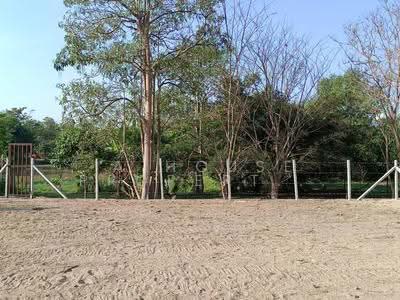 ขาย - ขายที่ดินเปล่าในโครงการบ้านเนินน้ำ ตะเคียนเตี้ย บางละมุง, ชลบุรี