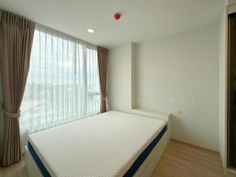 ESQUE Sukhumvit 101/1, bangkok, Soi Wachiratham Sathit 25, Bang Chak, Phra Khanong, Bangkok, 1 Bedroom, 25 sqm, Condo For Rent, by Punpapa Rassamee, 500596362 - DDproperty.com