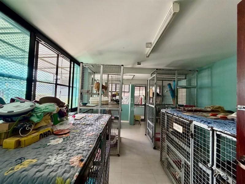 บ้านเดี่ยว 3 ชั้น 171 ตร.ว. บ้านเดี่ยว ซอยอินทามระ4 (ซอยพหลโยธิน14), bangkok, ถนนสุทธิสารวินิจฉัย, Samsen Nai, Phaya Thai, Bangkok, 7 Bedrooms, 700 sqm, Single Detached House For Sale, by คุณ วนิดา ศิริสุขชัยวุฒิ (ดา), 500596465 - DDproperty.com