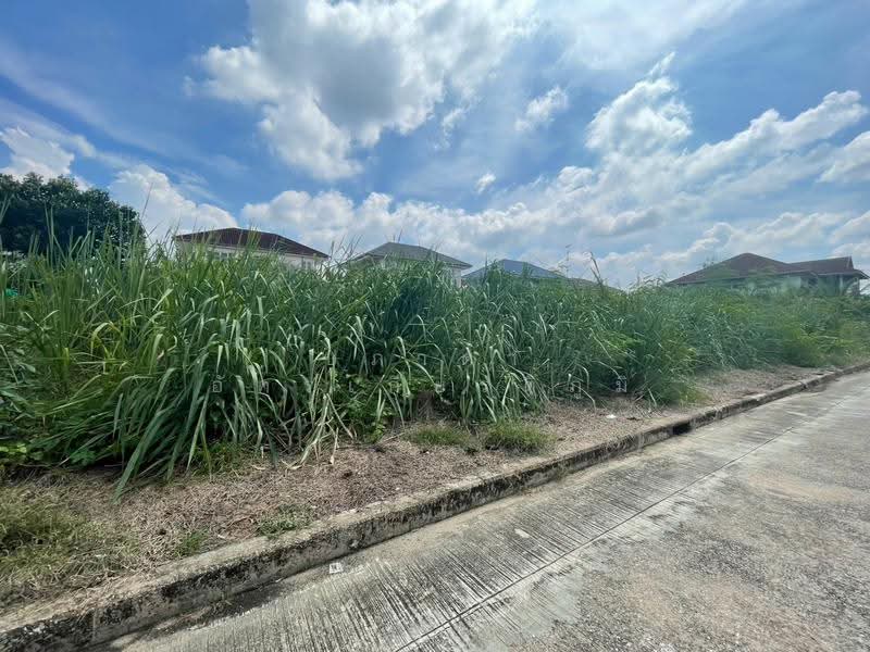 Wararom Phetkasem 69, Bangkok, Liab Klong Phasi Charoen Tai Road, Nong Kham, Nong Khaem, Bangkok, , 560 sqm, Land For Sale, by ปภาดา อัครเกียรติภูมิ, 500596530 - DDproperty.com