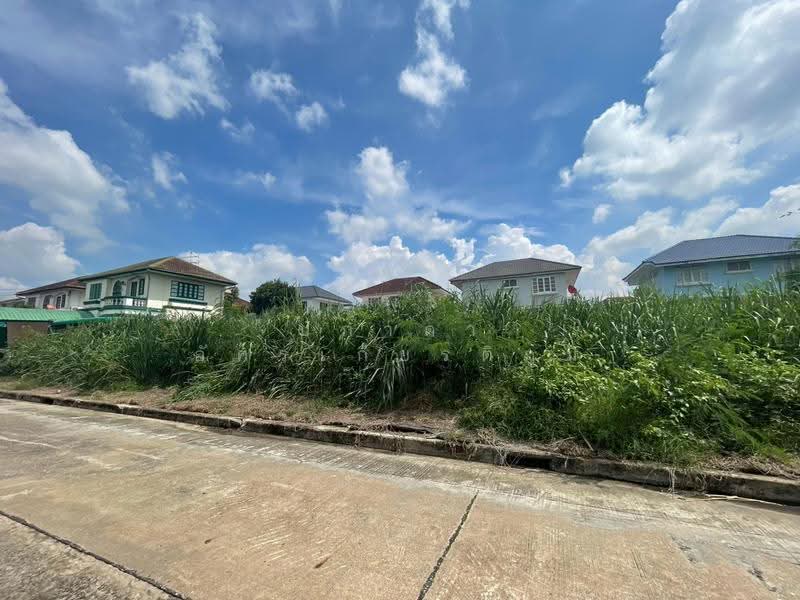 Wararom Phetkasem 69, Bangkok, Liab Klong Phasi Charoen Tai Road, Nong Kham, Nong Khaem, Bangkok, , 560 sqm, Land For Sale, by ปภาดา อัครเกียรติภูมิ, 500596530 - DDproperty.com