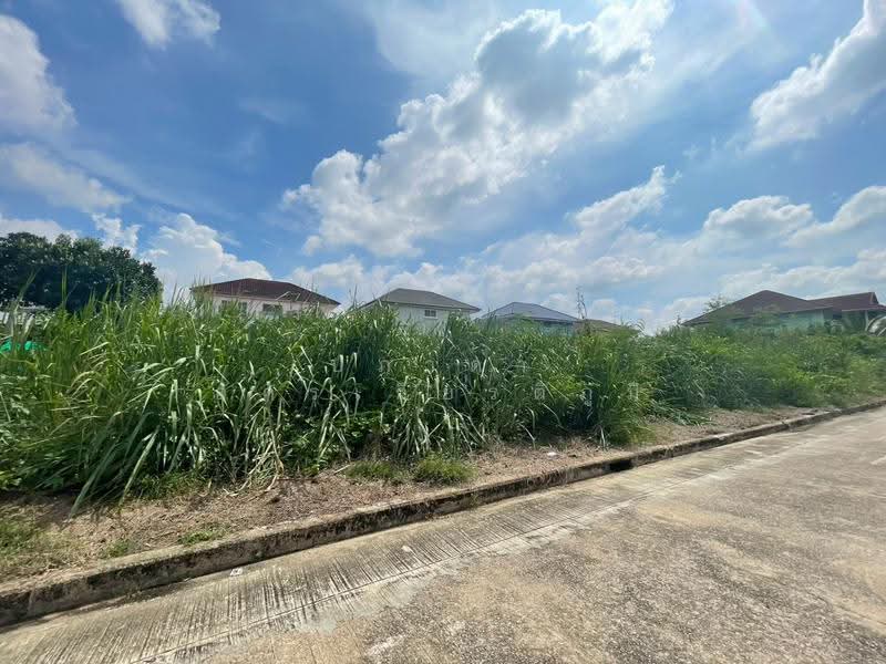 Wararom Phetkasem 69 : วรารมย์ เพชรเกษม 69, กรุงเทพ, ถนนเลียบคลองภาษีเจริญฝั่งใต้, หนองแขม, กรุงเทพ, 560 ตร.ม., ที่ดิน ขาย, โดย ปภาดา อัครเกียรติภูมิ, 500596530 - DDproperty.com