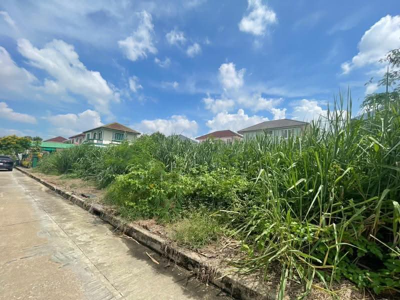 Wararom Phetkasem 69, Bangkok, Liab Klong Phasi Charoen Tai Road, Nong Kham, Nong Khaem, Bangkok, , 560 sqm, Land For Sale, by ปภาดา อัครเกียรติภูมิ, 500596530 - DDproperty.com