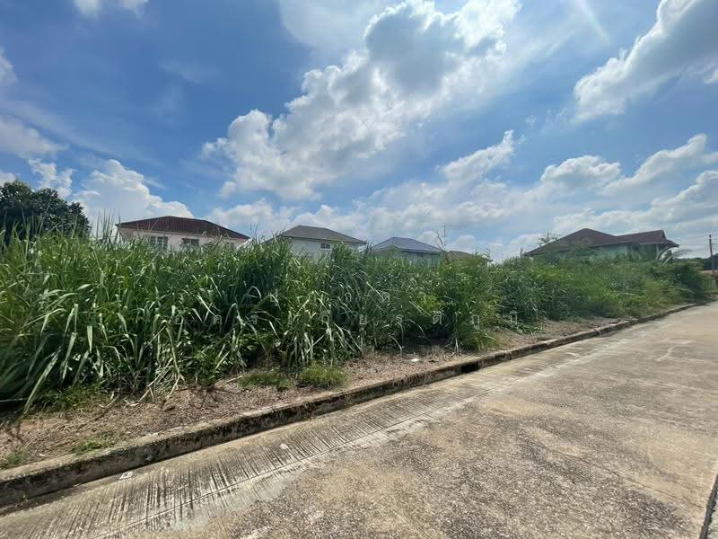 Wararom Phetkasem 69, Bangkok, Liab Klong Phasi Charoen Tai Road, Nong Kham, Nong Khaem, Bangkok, , 560 sqm, Land For Sale, by ปภาดา อัครเกียรติภูมิ, 500596530 - DDproperty.com