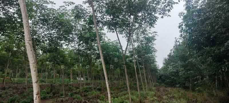 ที่ดินเขาสมิง ตราด, Trat, Tha Som, Khao Saming, Trat, , 8,380 sqm, Land For Sale, by The Best Property นน, 500596603 - DDproperty.com