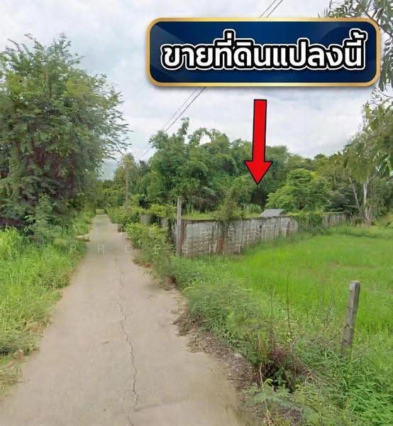 ที่ดินพร้อมสิ่งปลูกสร้างศิลา ขอนแก่น, khon-kaen, Sila, Muang Khon Kaen, Khon Kaen, , 13,639 sqm, Land For Sale, by The Best Property  ต้นอ้อ, 500596634 - DDproperty.com