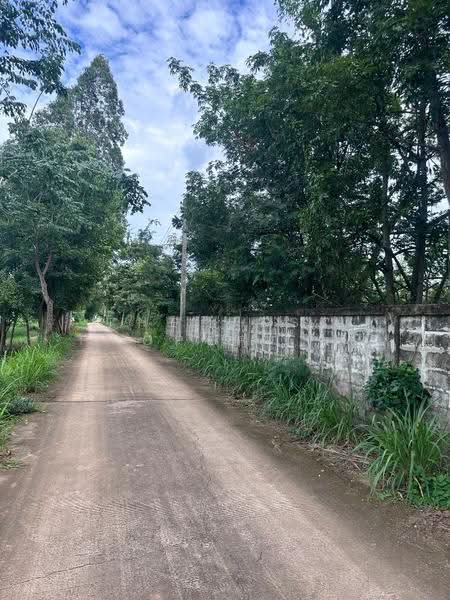 ที่ดินพร้อมสิ่งปลูกสร้างศิลา ขอนแก่น, ขอนแก่น, ศิลา, เมืองขอนแก่น, ขอนแก่น, 13,639 ตร.ม., ที่ดิน ขาย, โดย The Best Property ต้นอ้อ, 500596634 - DDproperty.com