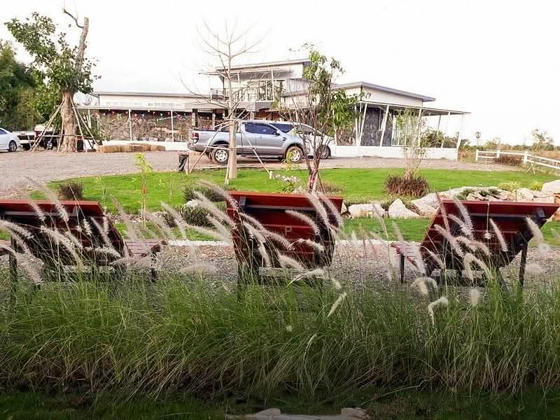 บ้านพร้อมที่ดิน 14 ไร่ ชน.4039 ตำบล อู่ตะเภา อำเภอมโนรมย์ ชัยนาท, chai-nat, U Taphao, Manorom, Chai Nat, 7 Bedrooms, 23,200 sqm, Single Detached House For Sale, by HOMEPLUS REALTY - คุณเป็ดคุณเก่ง, 500596718 - DDproperty.com