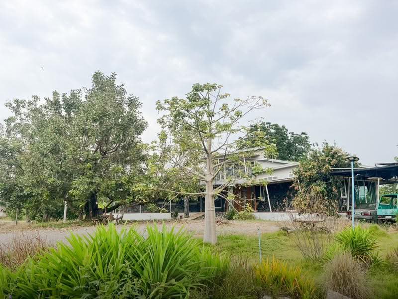 บ้านพร้อมที่ดิน 14 ไร่ ชน.4039 ตำบล อู่ตะเภา อำเภอมโนรมย์ ชัยนาท, chai-nat, U Taphao, Manorom, Chai Nat, 7 Bedrooms, 23,200 sqm, Single Detached House For Sale, by HOMEPLUS REALTY - คุณเป็ดคุณเก่ง, 500596718 - DDproperty.com