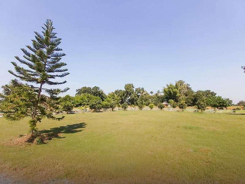 บ้านพร้อมที่ดิน 14 ไร่ ชน.4039 ตำบล อู่ตะเภา อำเภอมโนรมย์ ชัยนาท, chai-nat, U Taphao, Manorom, Chai Nat, 7 Bedrooms, 23,200 sqm, Single Detached House For Sale, by HOMEPLUS REALTY - คุณเป็ดคุณเก่ง, 500596718 - DDproperty.com