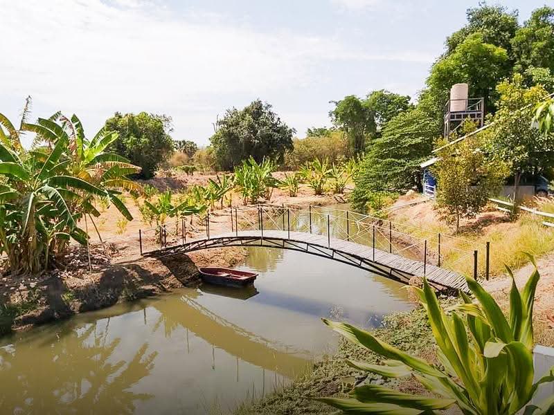 บ้านพร้อมที่ดิน 14 ไร่ ชน.4039 ตำบล อู่ตะเภา อำเภอมโนรมย์ ชัยนาท, chai-nat, U Taphao, Manorom, Chai Nat, 7 Bedrooms, 23,200 sqm, Single Detached House For Sale, by HOMEPLUS REALTY - คุณเป็ดคุณเก่ง, 500596718 - DDproperty.com